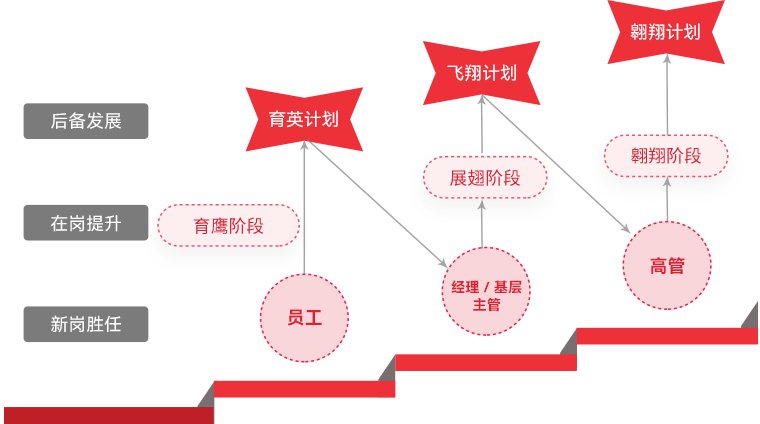 BC贷 "雄鹰妄想"人才梯队作育